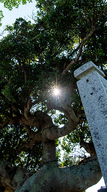 山口県宇部市天台宗大学院